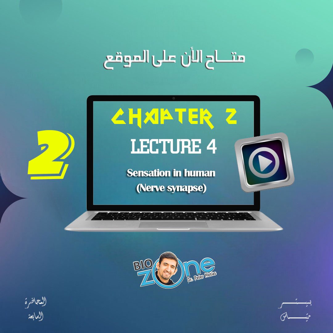 2025 - 2 - الاسبوع السابع - الشرح